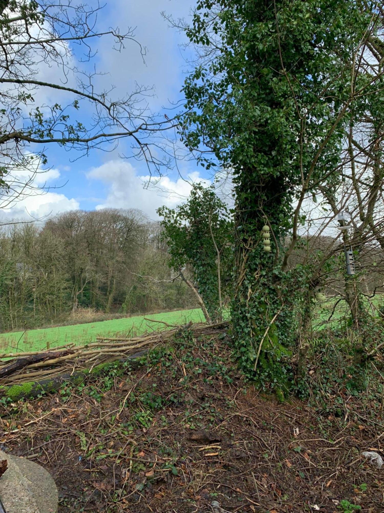 4 Devon Country, Bideford Bay Holiday Park Bucks Mills Zewnętrze zdjęcie